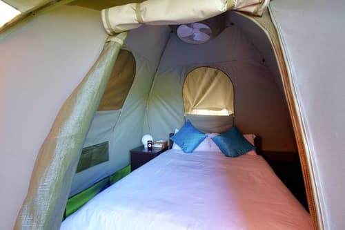 Budget Tented Village at Urban Glamping - Hostel, Room
