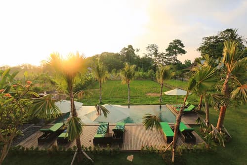 Ubud Tropical Garden, Primary image