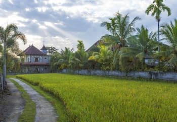 Arimba Resort Ubud, View from property