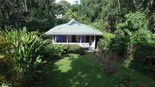 Playa Negra Guesthouse, Room