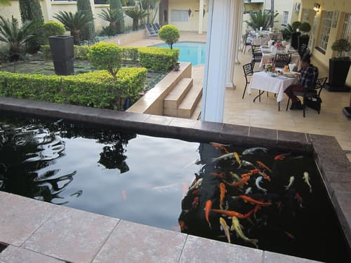 La Baruné Guest House, Outdoor pool