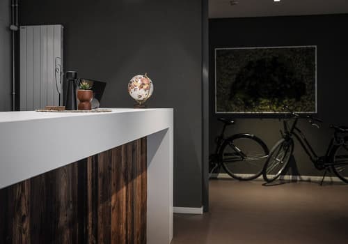 Home Swiss Hotel, Reception