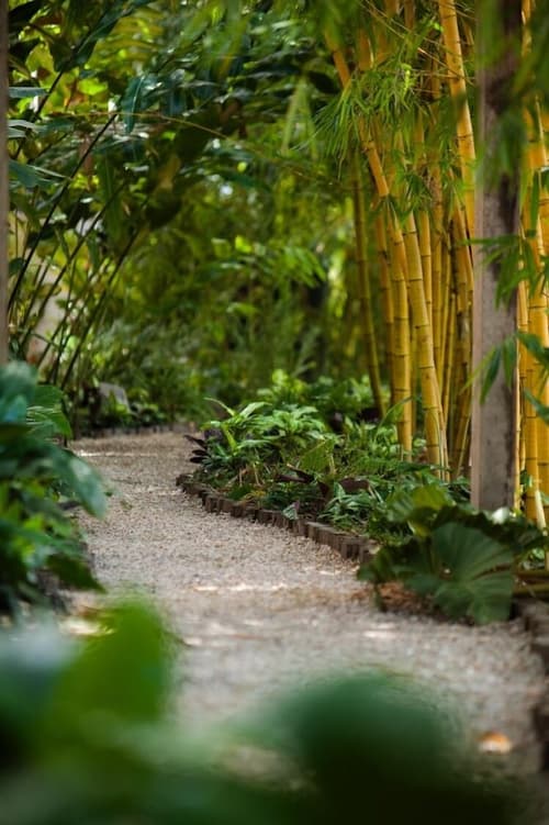 Jacana Amazon Wellness Resort, Garden