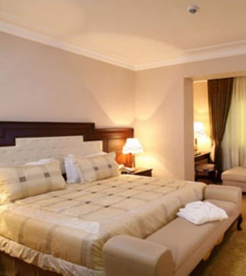 Latanya Palm & Spa Airport Antalya, Room