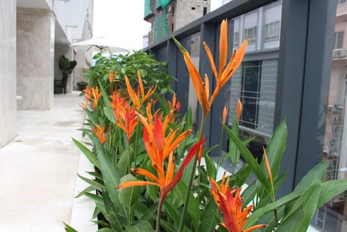 Grand Sea Hotel, Indoor pool