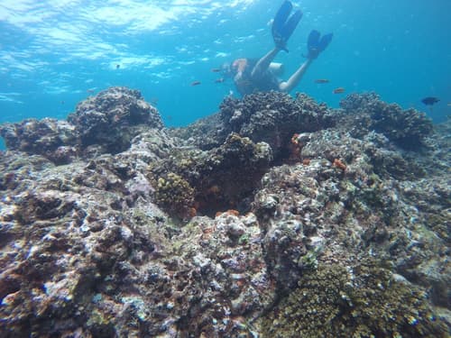 Seagull Cove Resort, Sports facility