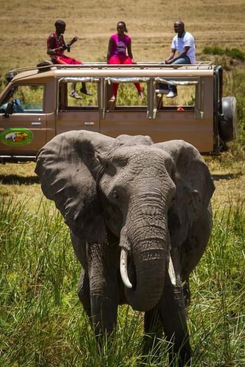 Mara Leisure Camp, Miscellaneous