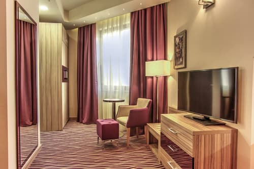 Holiday Inn Plovdiv by IHG, Room