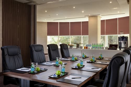 Steigenberger Hotel El Tahrir Cairo, Meeting facility