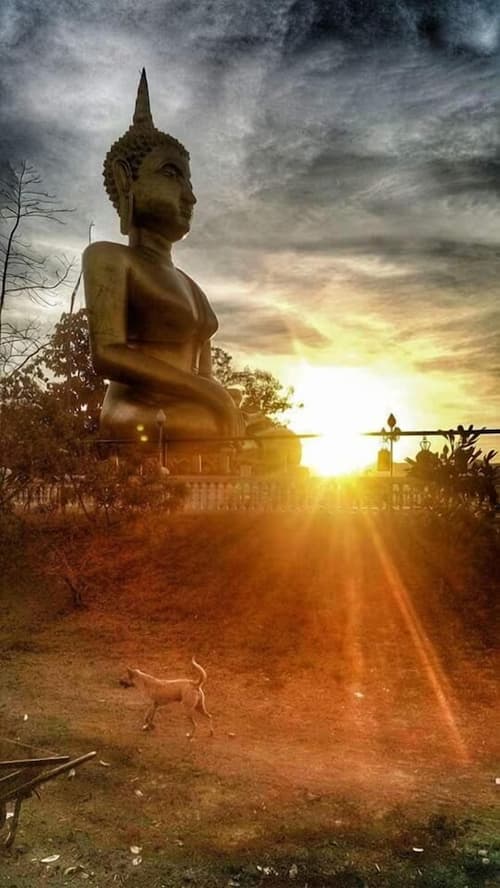 Above the Sea Guesthouse, Beach