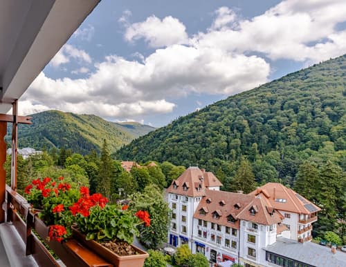 Hotel Sinaia, Balcony
