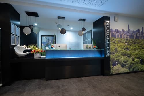 Best Western Plus Central Park Hotel & Spa, Reception