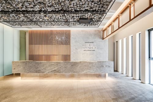 Sotetsu Hotels The Splaisir Seoul Myeongdong, Reception