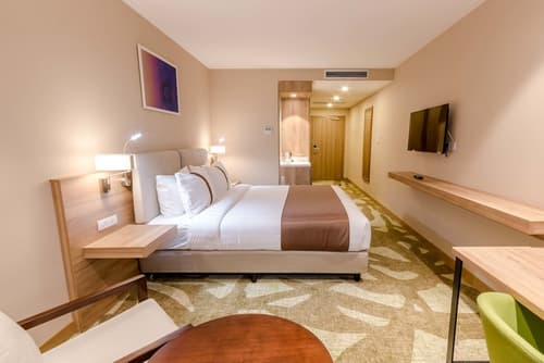 Holiday Inn Ulaanbaatar by IHG, Room