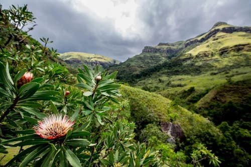 Cathkin Cottage B&B, Hiking