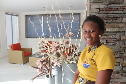 Hotel Vulcão, Reception