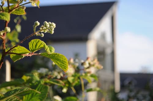 The Corran - Serviced Accommodation, Front of property