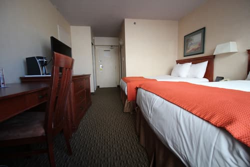 Hotel Chrome Montreal, Room