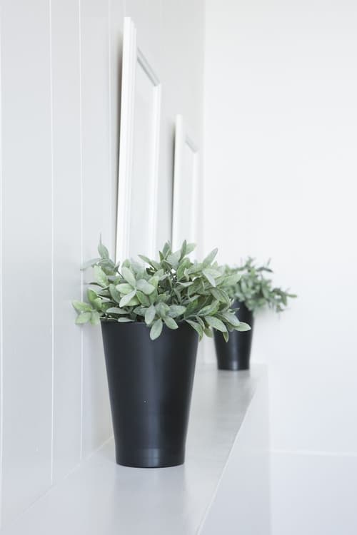 Lyngás Guesthouse, Interior entrance