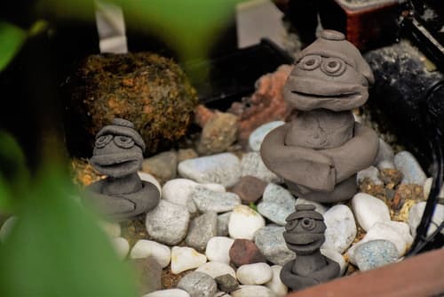 Guest House Oumi - Hostel, Courtyard