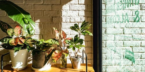 Hotel Pacific Kanazawa, Interior entrance