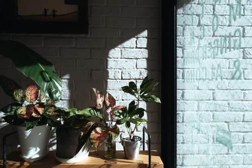 Hotel Pacific Kanazawa, Interior entrance