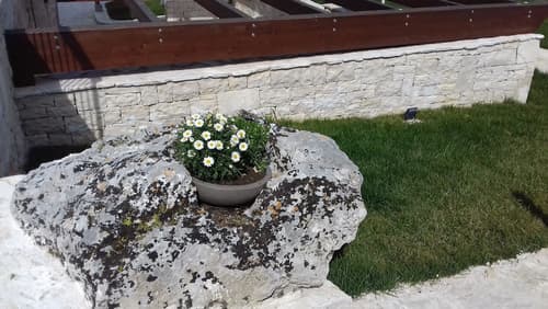 Agriturismo Nonna Rosa, Lobby