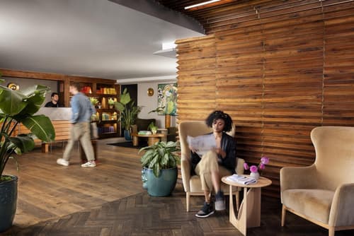 Arlo Williamsburg, Reception