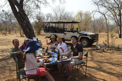 Third Bridge Mobile Camp, Safari