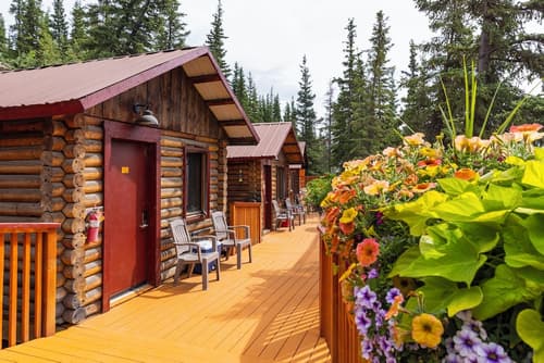 Denali Crow's Nest Cabins, Terrace/patio