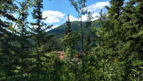 Denali Crow's Nest Cabins, View from room