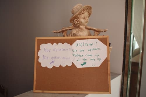 Emre's Stone House, Reception