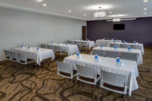 Microtel Inn & Suites by Wyndham Niagara Falls, Meeting facility
