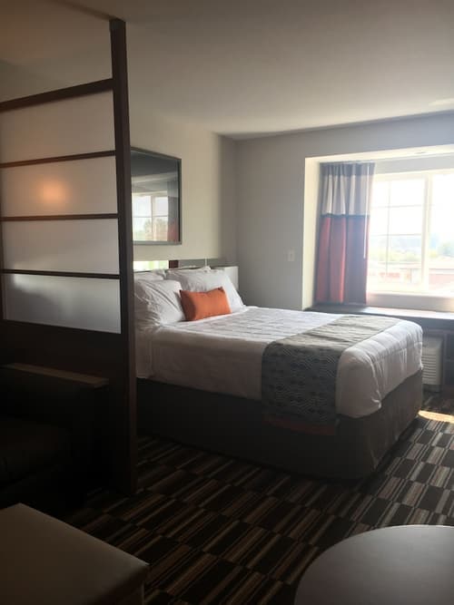 Microtel Inn & Suites by Wyndham Niagara Falls, Room