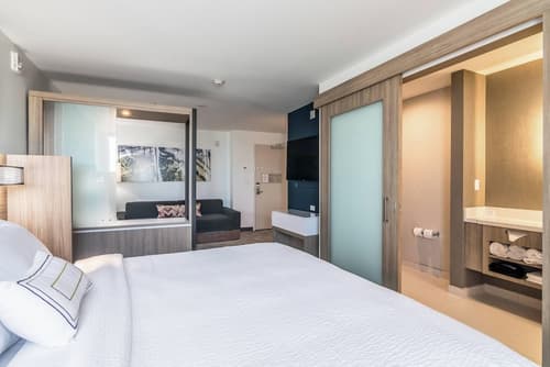 SpringHill Suites by Marriott Oklahoma City Downtown, Room