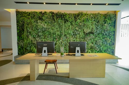 Hue Hotels and Resorts Puerto Princesa Managed by HII, Reception