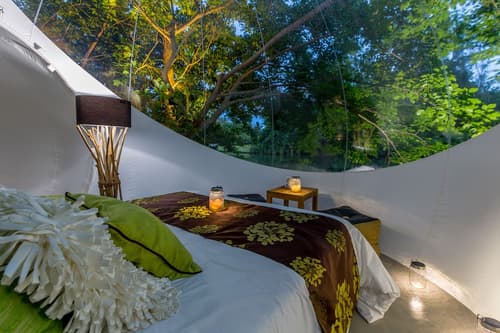 Bubble Lodge Bois Chéri, Room