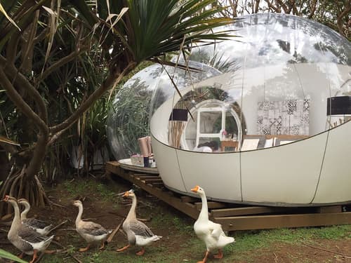 Bubble Lodge Bois Chéri, Room