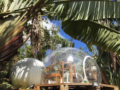 Bubble Lodge Bois Chéri, Room