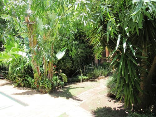 House on York Guest House, Garden