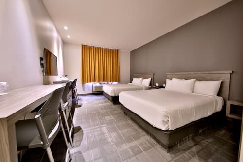 Hôtel Ô Laval, Room