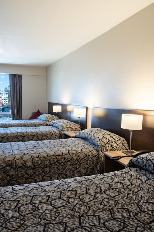 Hotel Lagos Andinos, Room