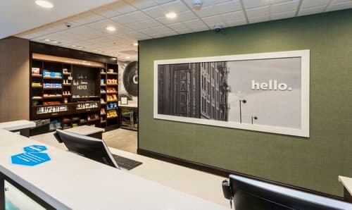 Hampton Inn & Suites Duluth North/Mall Area, Reception