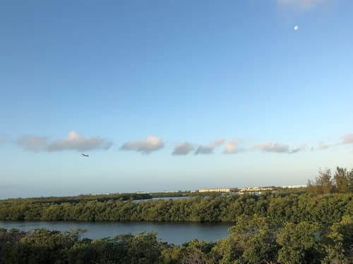 The Perry Hotel & Marina Key West, Room