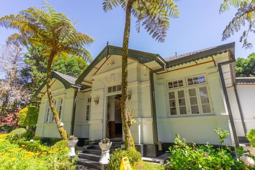 Mirage Kings Cottage, Reception