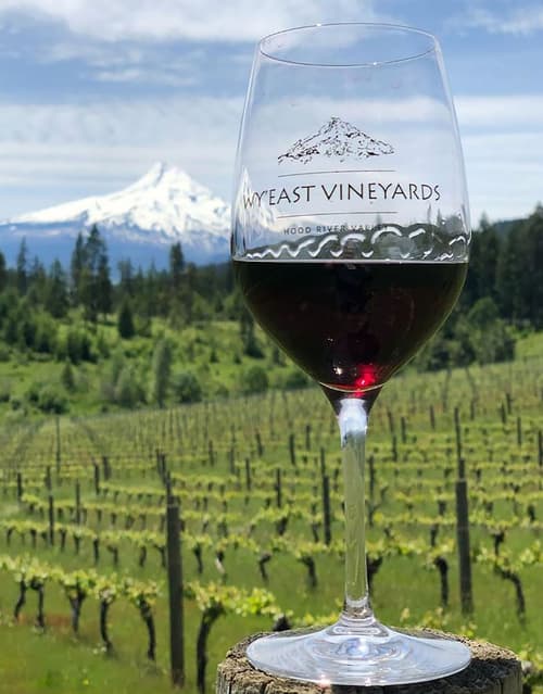 Hood River Hotel, Vineyard