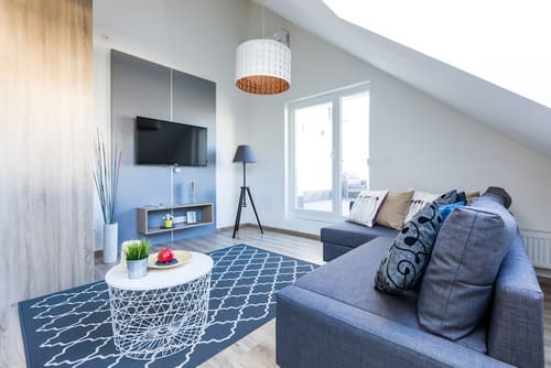 Vagabond Corvin, Primary image