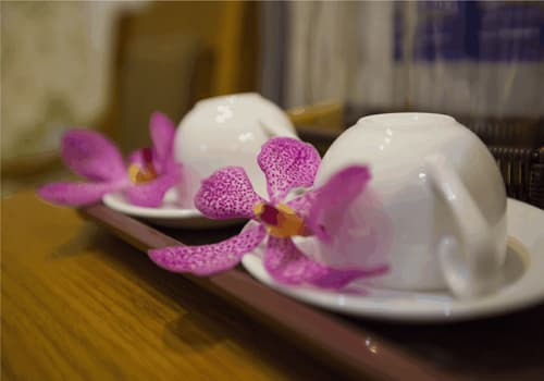 New Space Hotel Airport, Room amenity