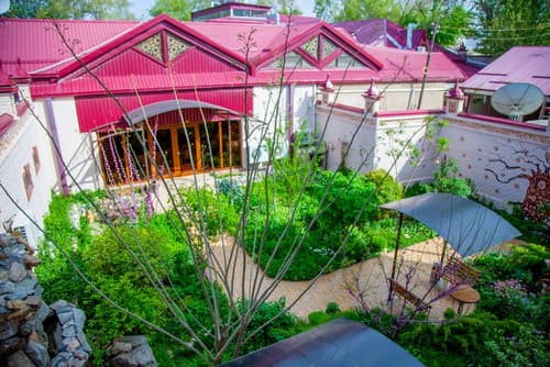 Platan, Primary image