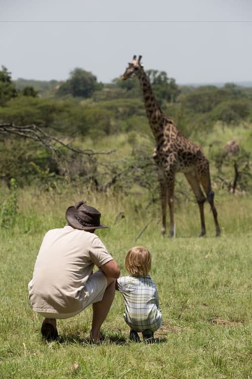 Elewana Serengeti Migration Camp, Safari